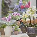 Dụng cụ làm vườn