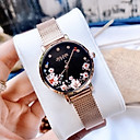 Đồng Hồ Á Châu