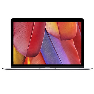 New Macbook Retina 12.0″ 256GB MJY32 (2015) - Grey