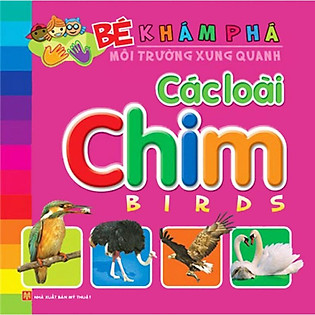Bé Khám Phá Môi Trường Xung Quanh - Các Loài Chim