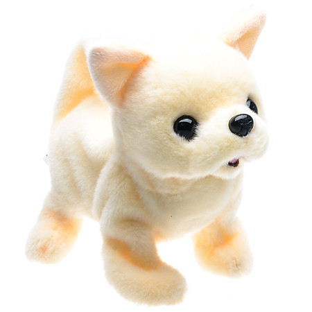 Chó Bông Baby Chihuahua Iwaya