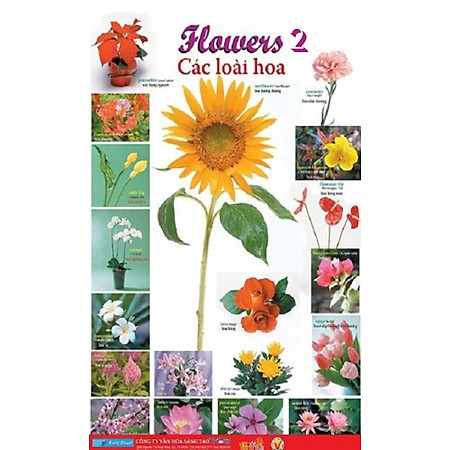 Poster Lớn - Flowers 2: Các Loài Hoa