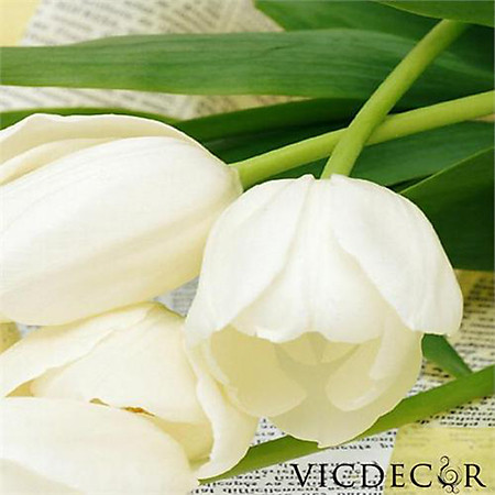 Tranh Đồng Hồ Vicdecor DHT0090 - Tulip Trắng