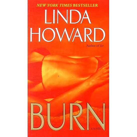 [Download Sách] Burn: A Novel