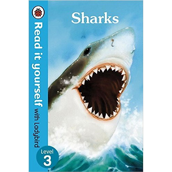 [Download Sách] Read It Yourself with Ladybird Sharks