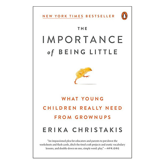 The Importance Of Being Little: What Young Children Really Need From Grownups