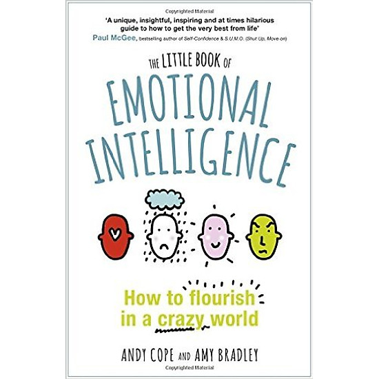 The Little Book Of Emotional Intelligence: How To Flourish In A Crazy World