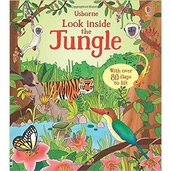 Look Inside The Jungle