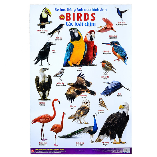 [Download Sách] Bé Học Tiếng Anh Qua Hình Ảnh - Các Loài Chim