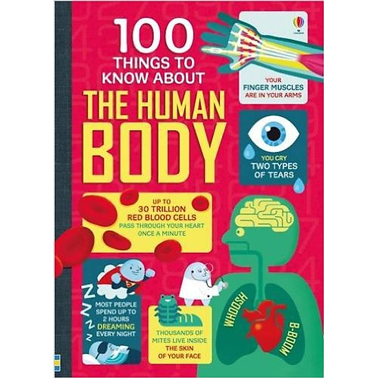 100 Things To Know About The Human Body