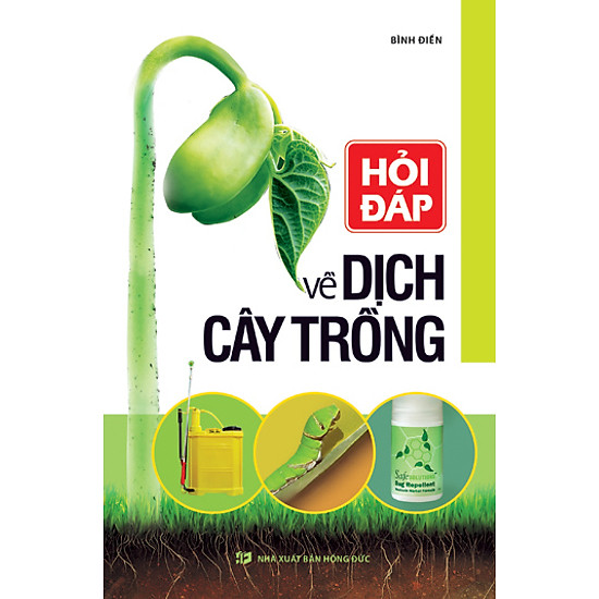 Hỏi Đáp Về Dịch Cây Trồng