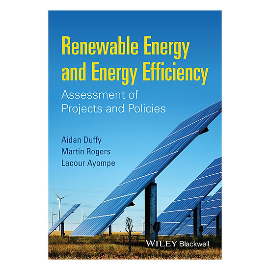 [Download Sách] Renewable Energy And Energy Efficiency - Assessment Of Projects And Policies