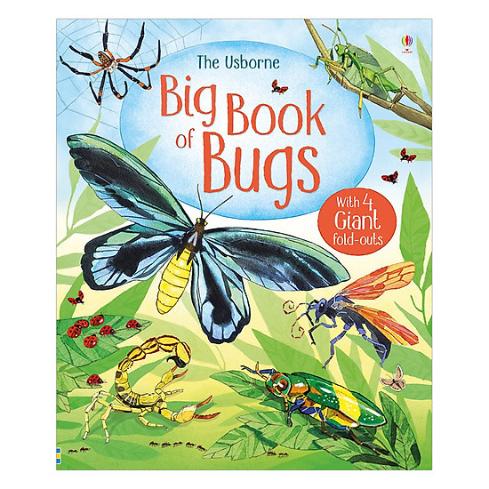 [Download Sách] Usborne Big Book OF Bugs