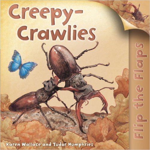 Bìa sách Flip The Flaps: Creepy-Crawlies