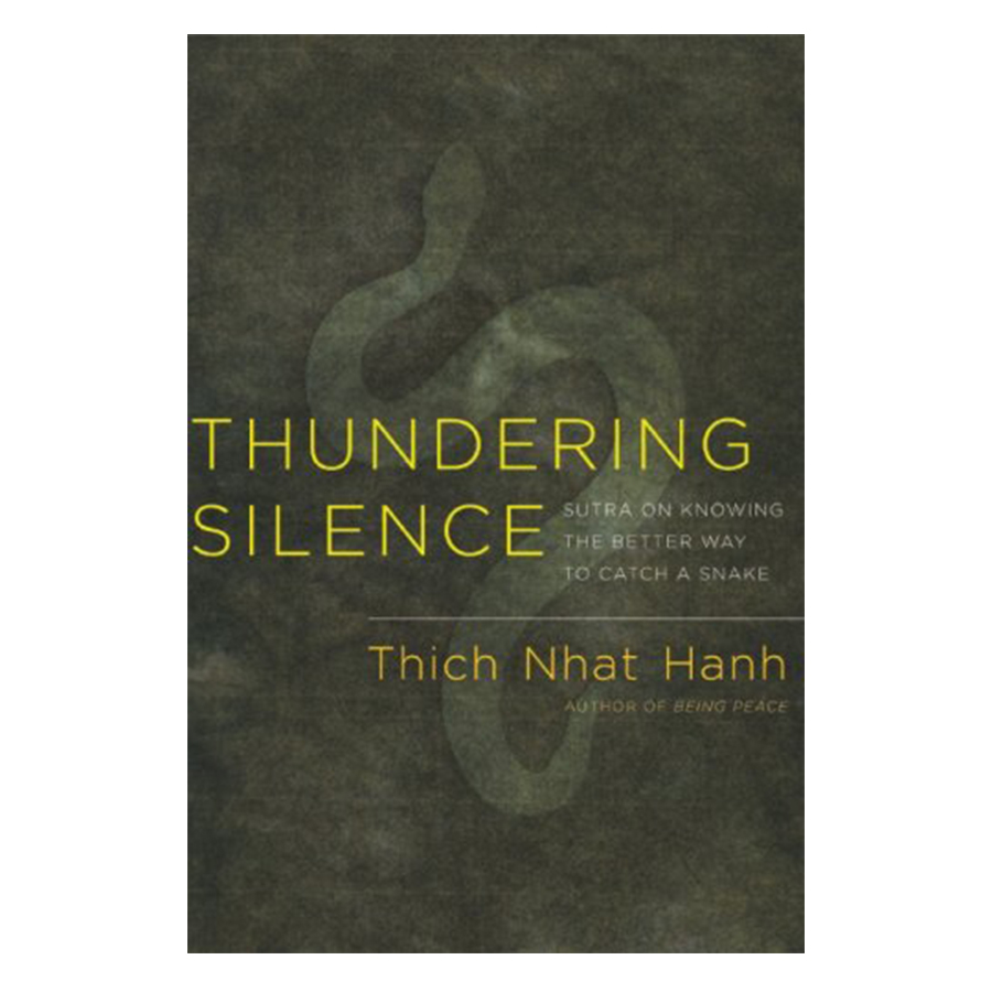 Bìa sách Thundering Silence: Sutra On Knowing The Better Way To Catch A Snake