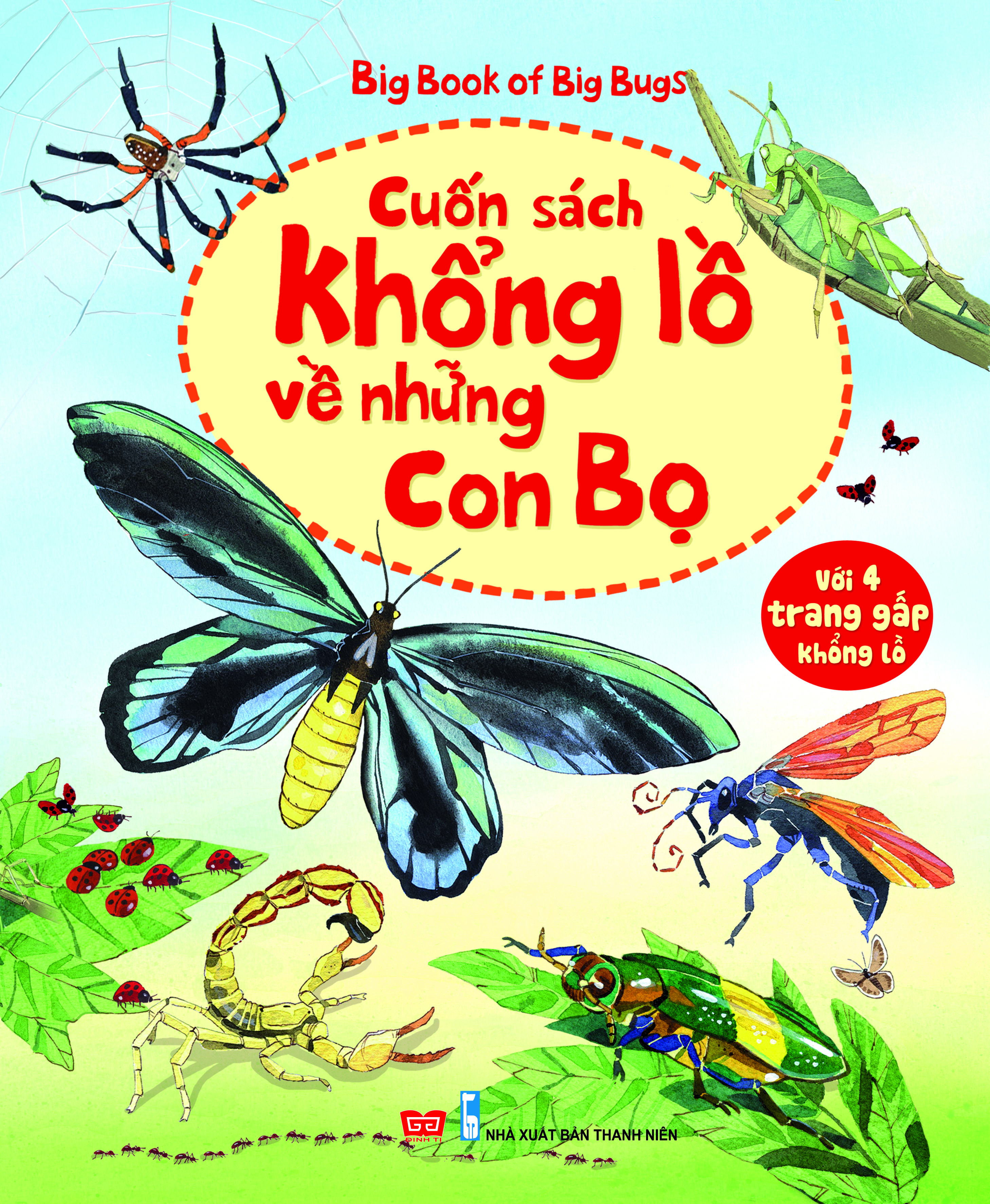 Bìa sách Big Book Of Big Bugs – Cuốn Sách Khổng Lồ Về Những Con Bọ