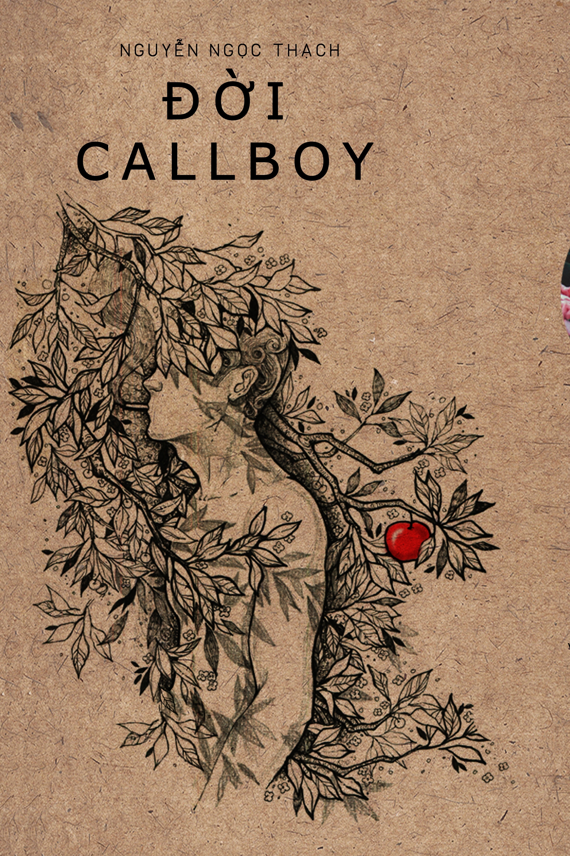 Review sách Đời Callboy (Phiên Bản 2016)