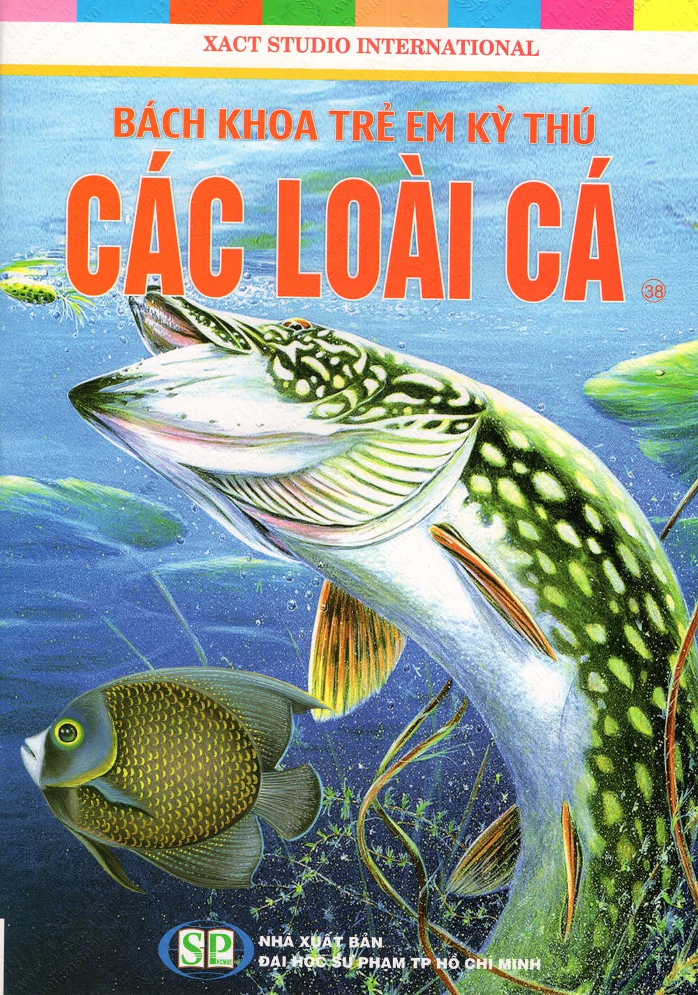 Bìa sách Bách Khoa Trẻ Em Kỳ Thú - Các Loài Cá (38)
