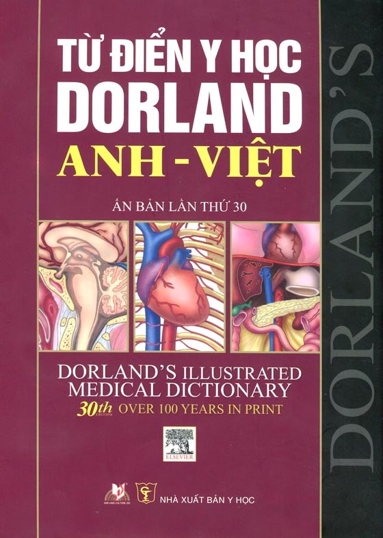 Bìa sách Từ Điển Y Học Dorland Anh - Việt