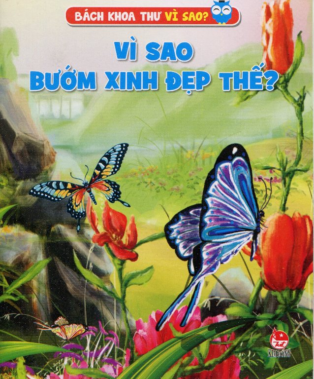 Bìa sách Vì Sao Bướm Xinh Đẹp Thế