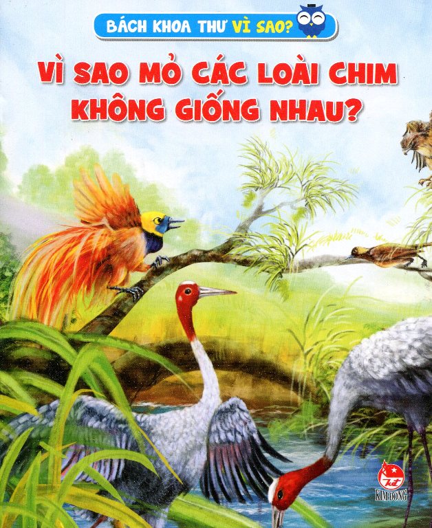 Bìa sách Vì Sao Mỏ Các Loài Chim Không Giống Nhau