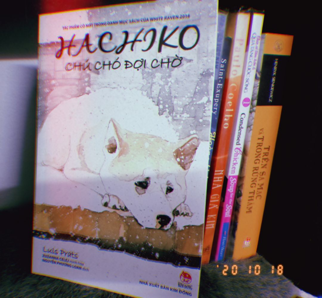 Hachiko - chú chó đợi chờ giá tốt nhất 11/2021 - BeeCost