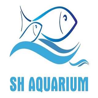 SH AQUARIUM 2