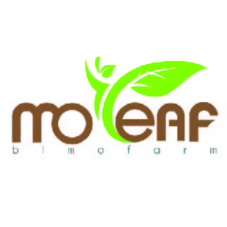 Moleaf Official Store