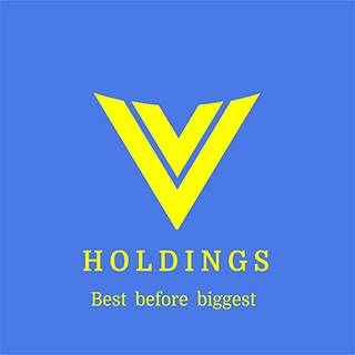 VHOLDINGS INTERNATIONAL