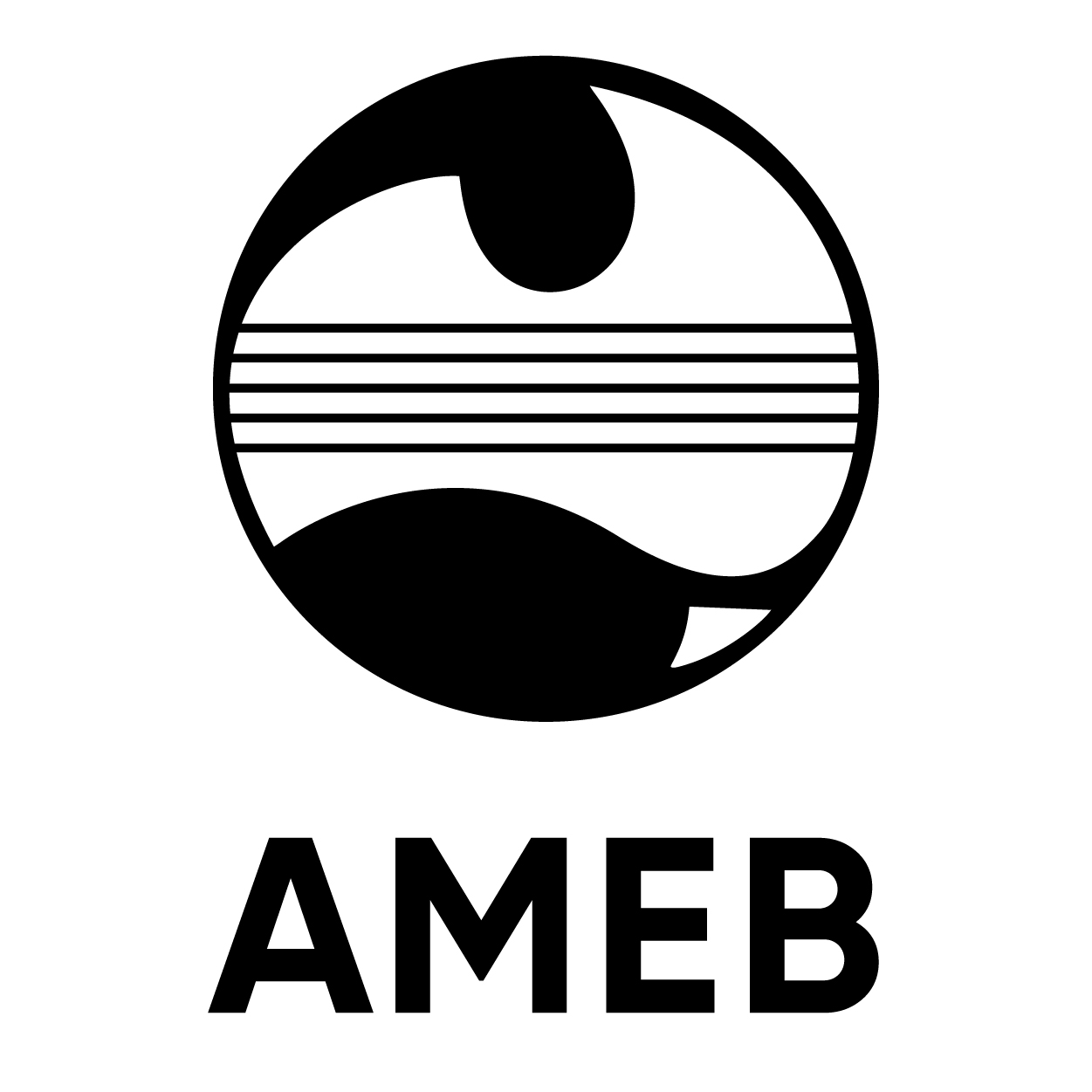 Hội đồng Chấm thi Âm nhạc AMEB