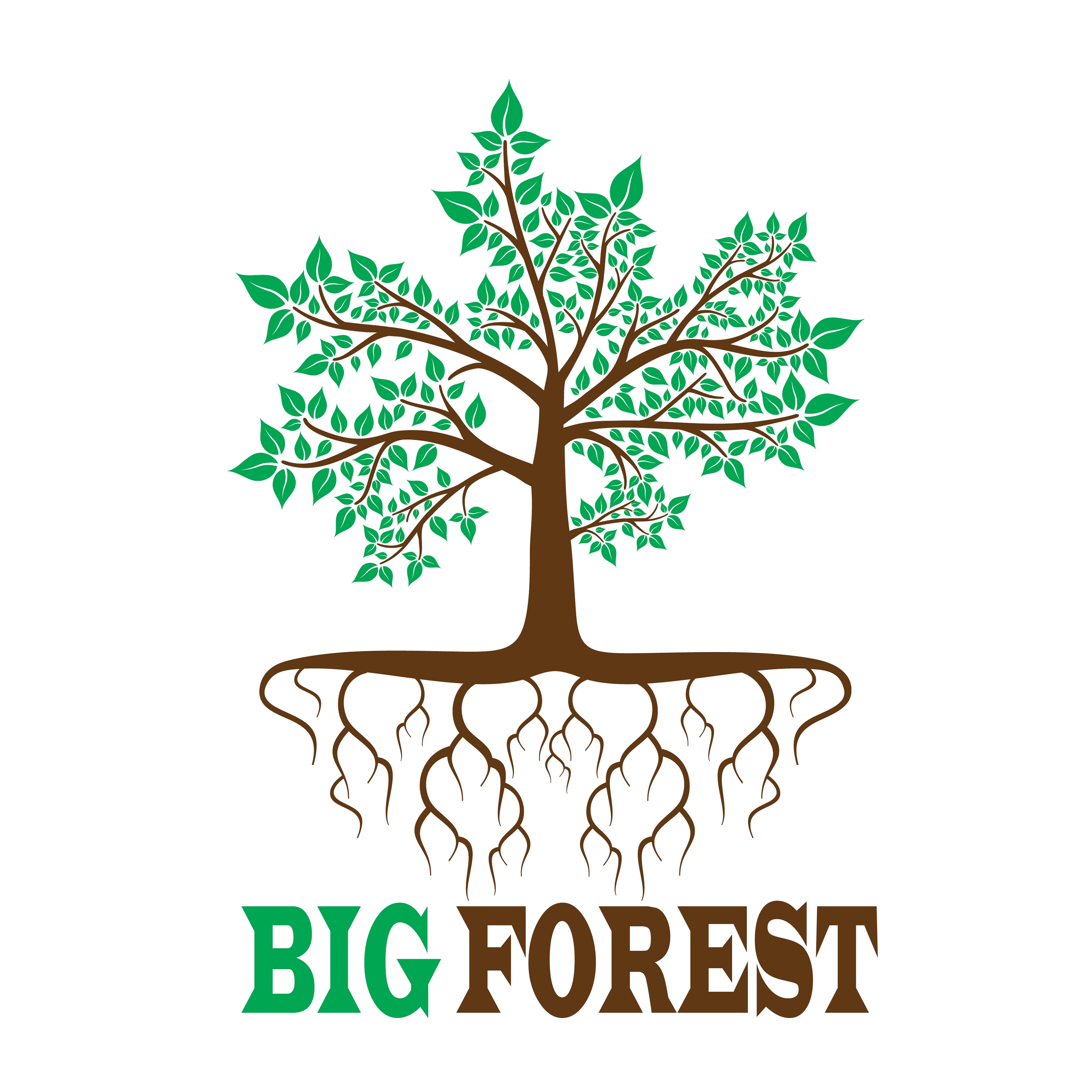 Big Forest Store