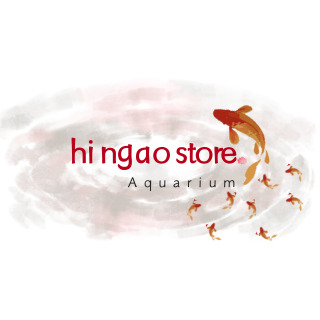 Hingaostore Cửa hàng cá cảnh