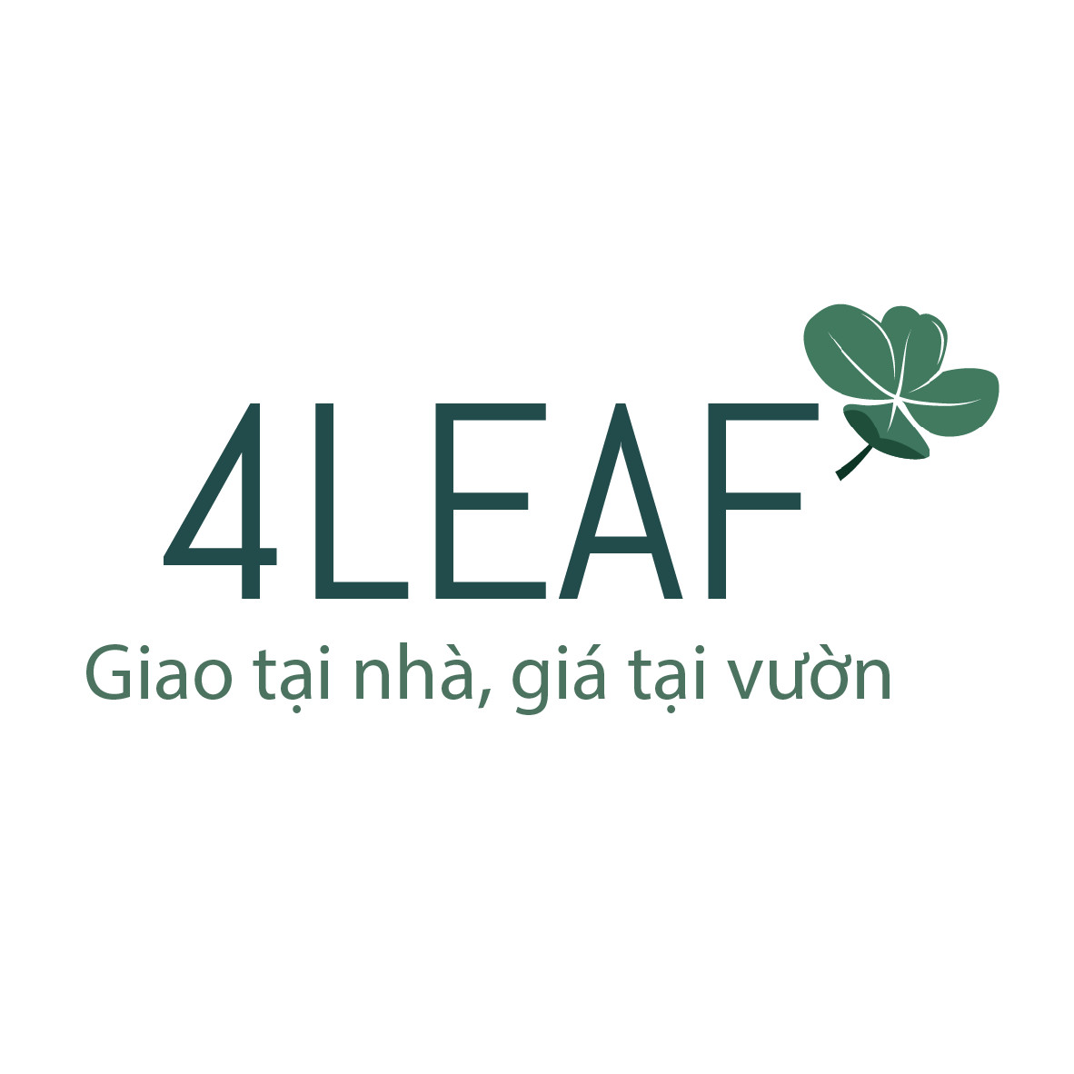 4LEAF GROUP