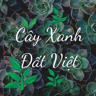 Cây Xanh Đất Việt