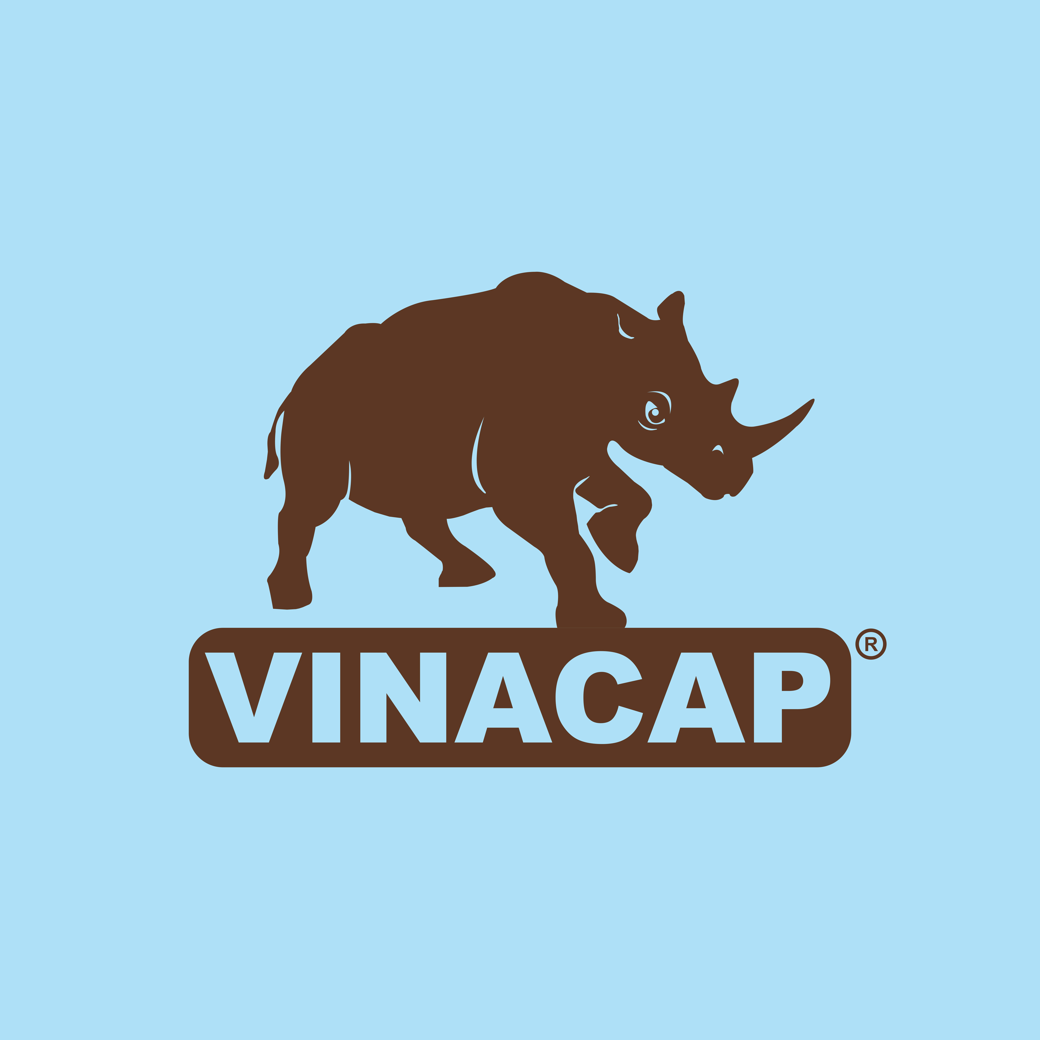 VINACAP STORE