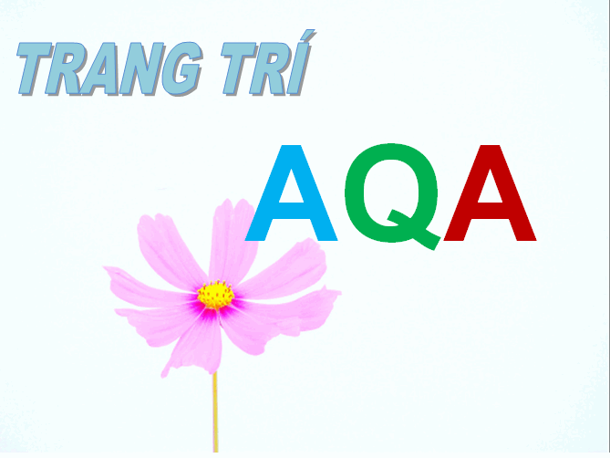 chuyên giấy dán tường aqa