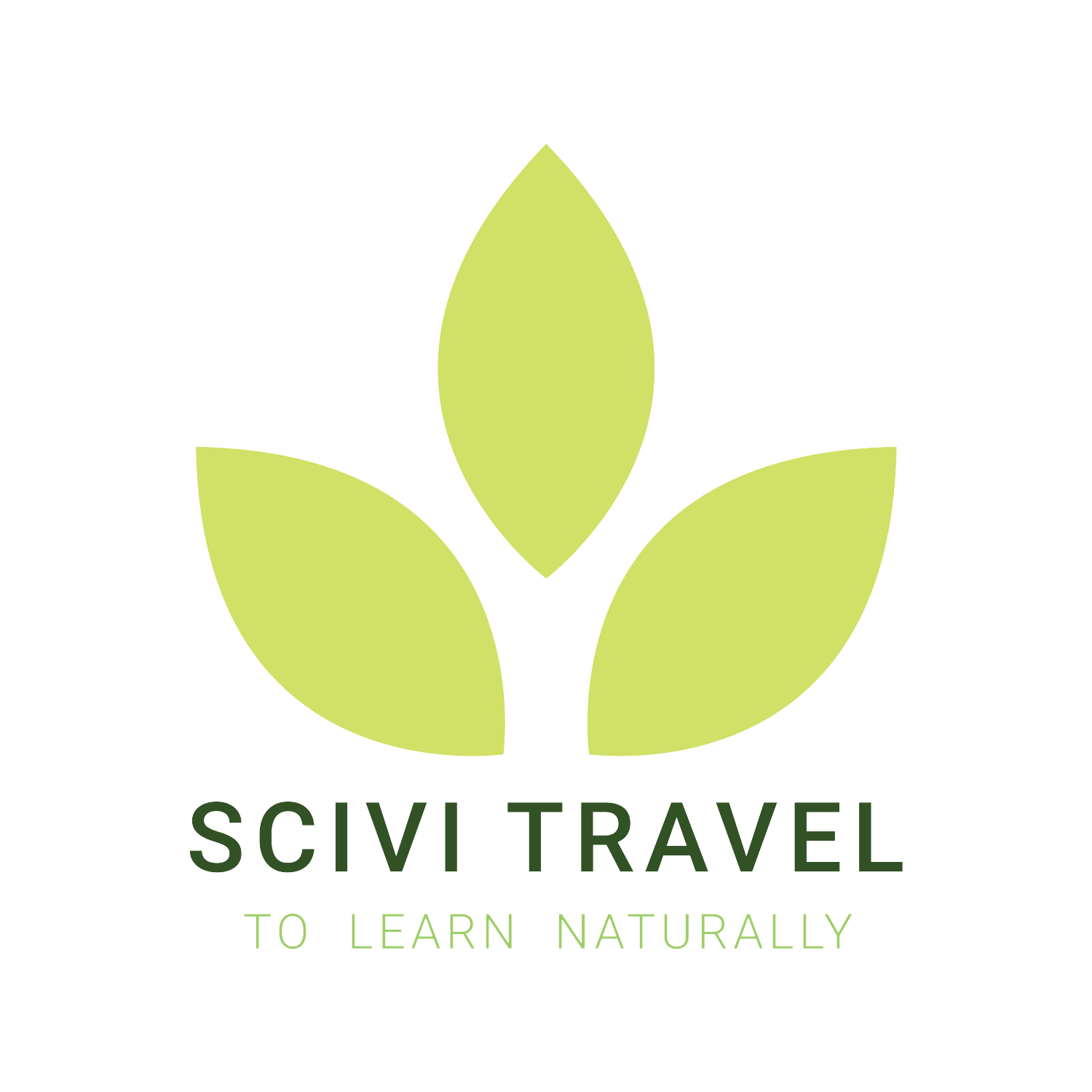 Scivi Travel