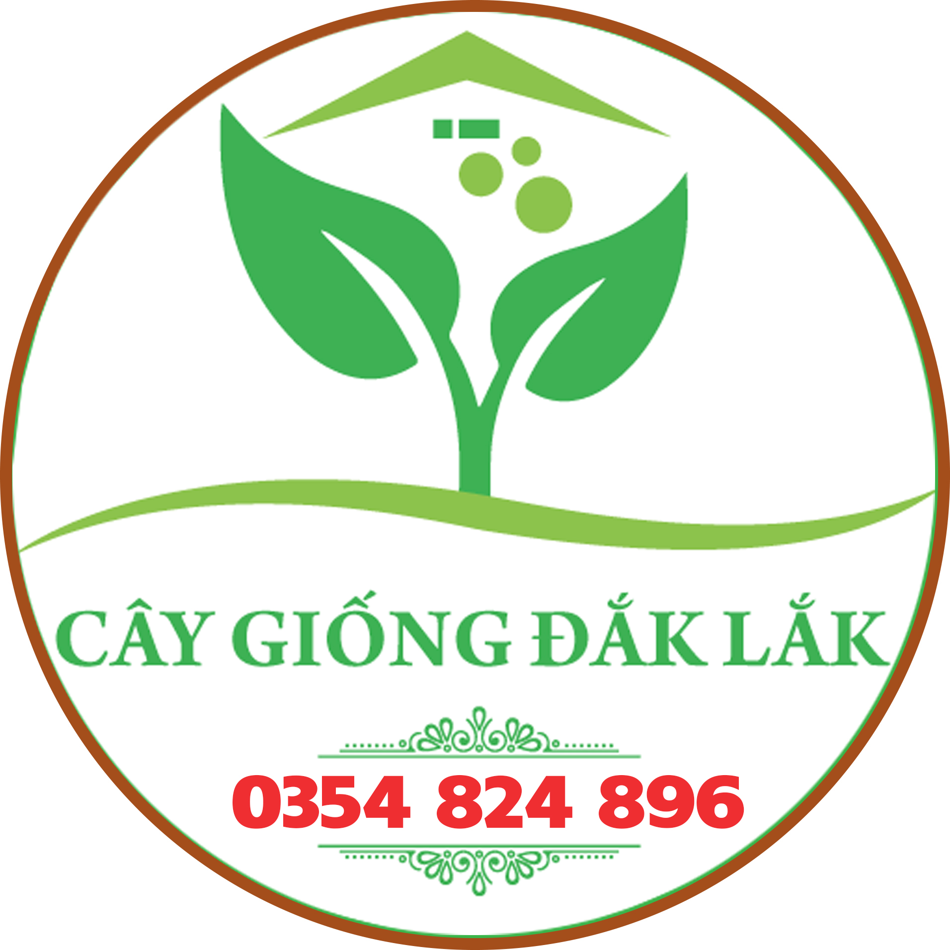 TRUNG TÂM CÂY GIỐNG ĐẮK LẮK