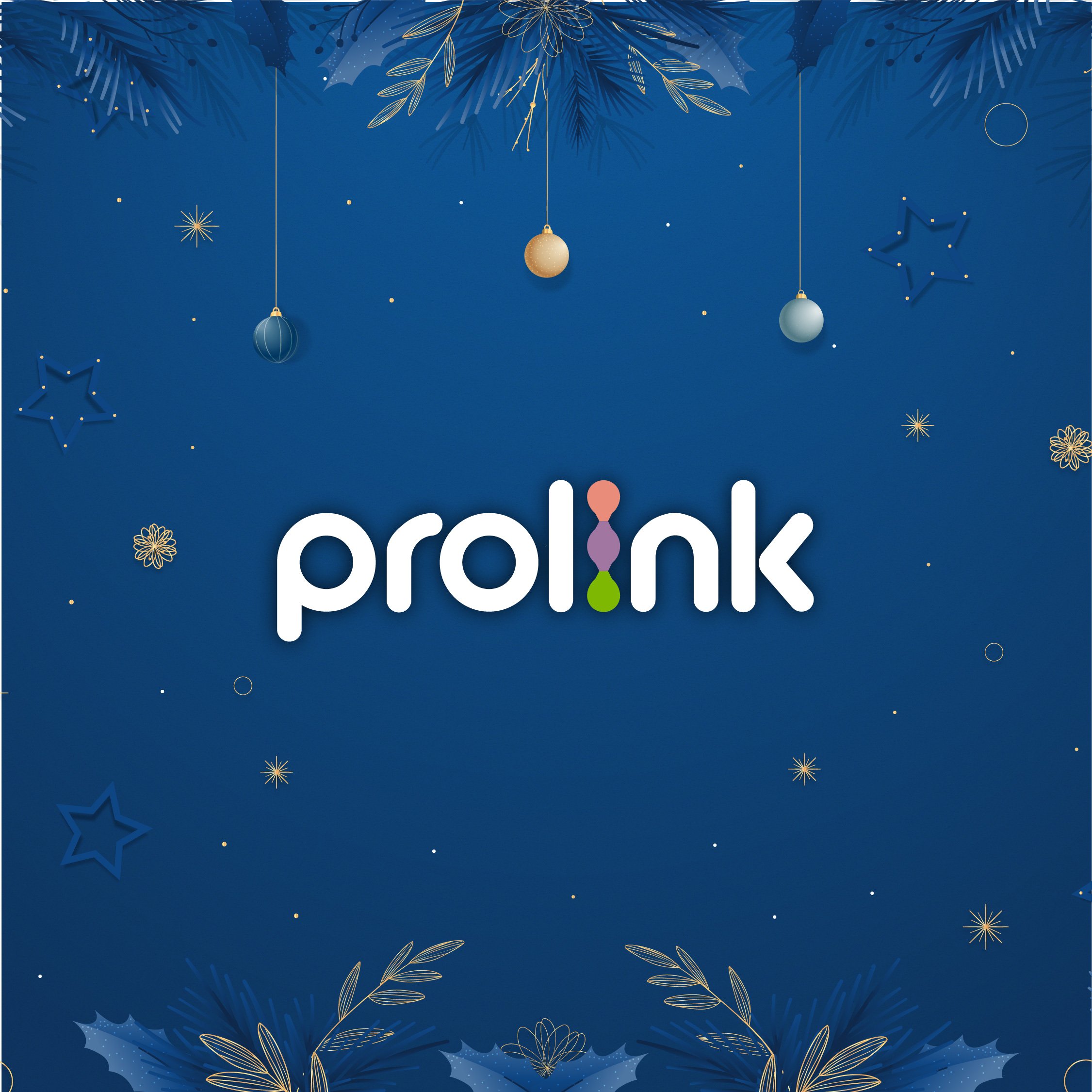 Prolink Official Store