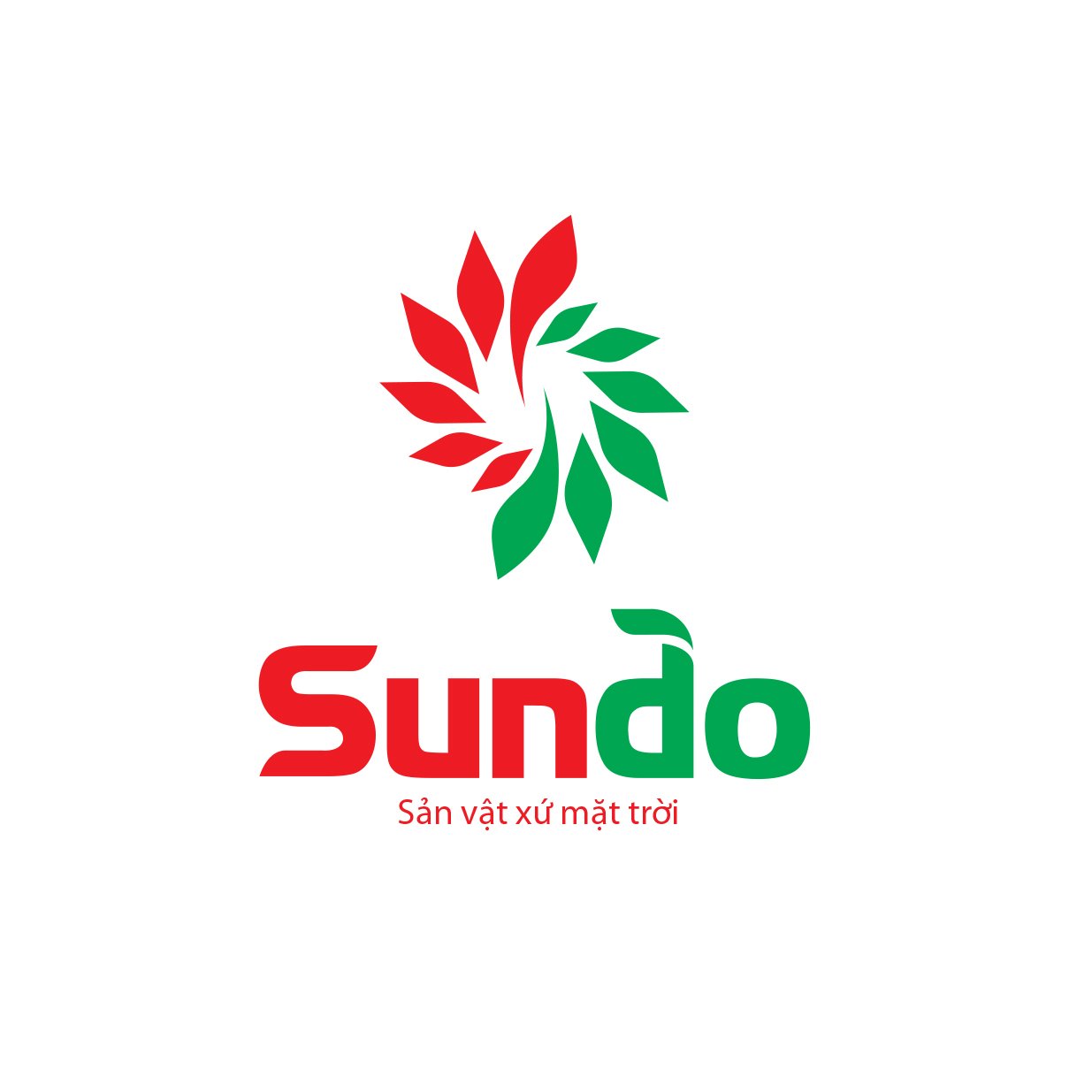 Cao trà thảo dược Sundo Quảng Trị