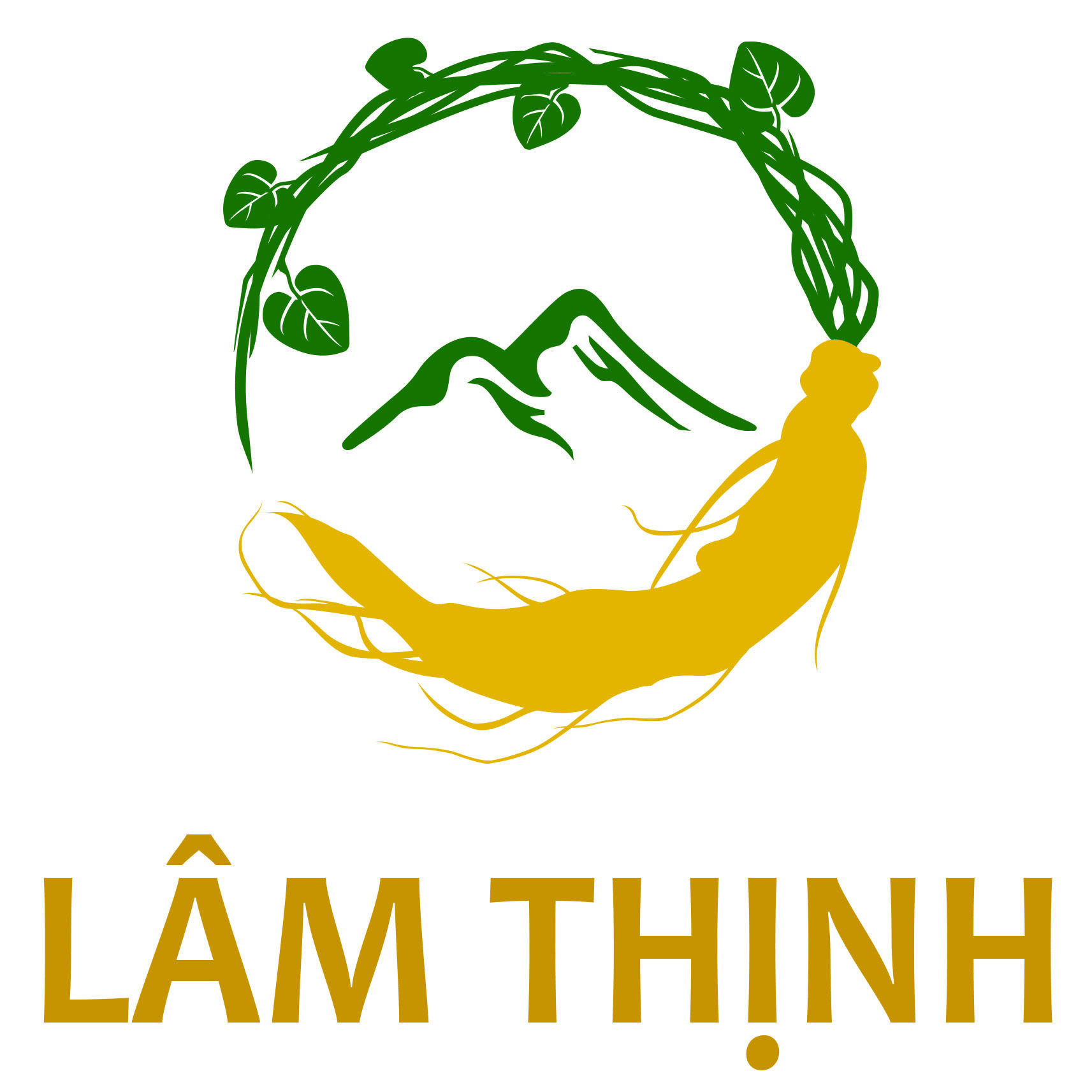 Trà Sâm dây Ngọc Linh