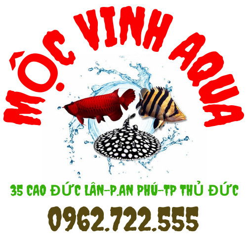 Vật Liệu Lọc Hồ Cá Mộc Vinh Aqua