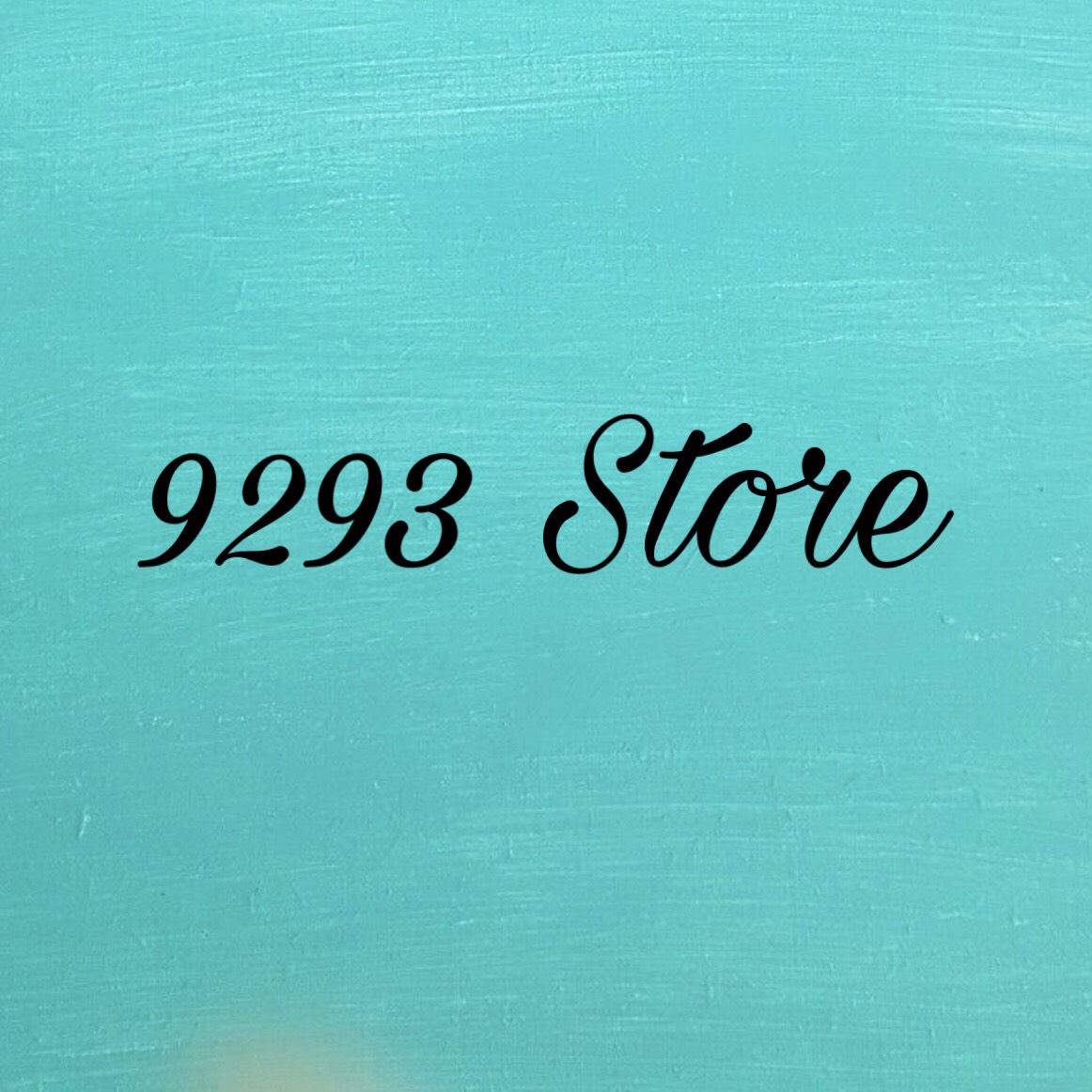 9293Store