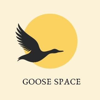 Goose Space