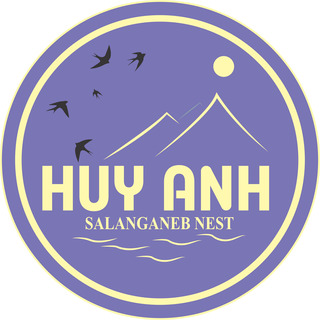 YẾN SÀO HUY ANH SALANGANE'S NEST