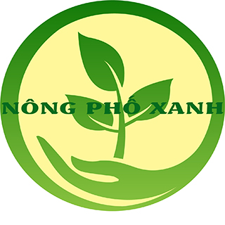 CỬA HÀNG NÔNG PHỐ XANH