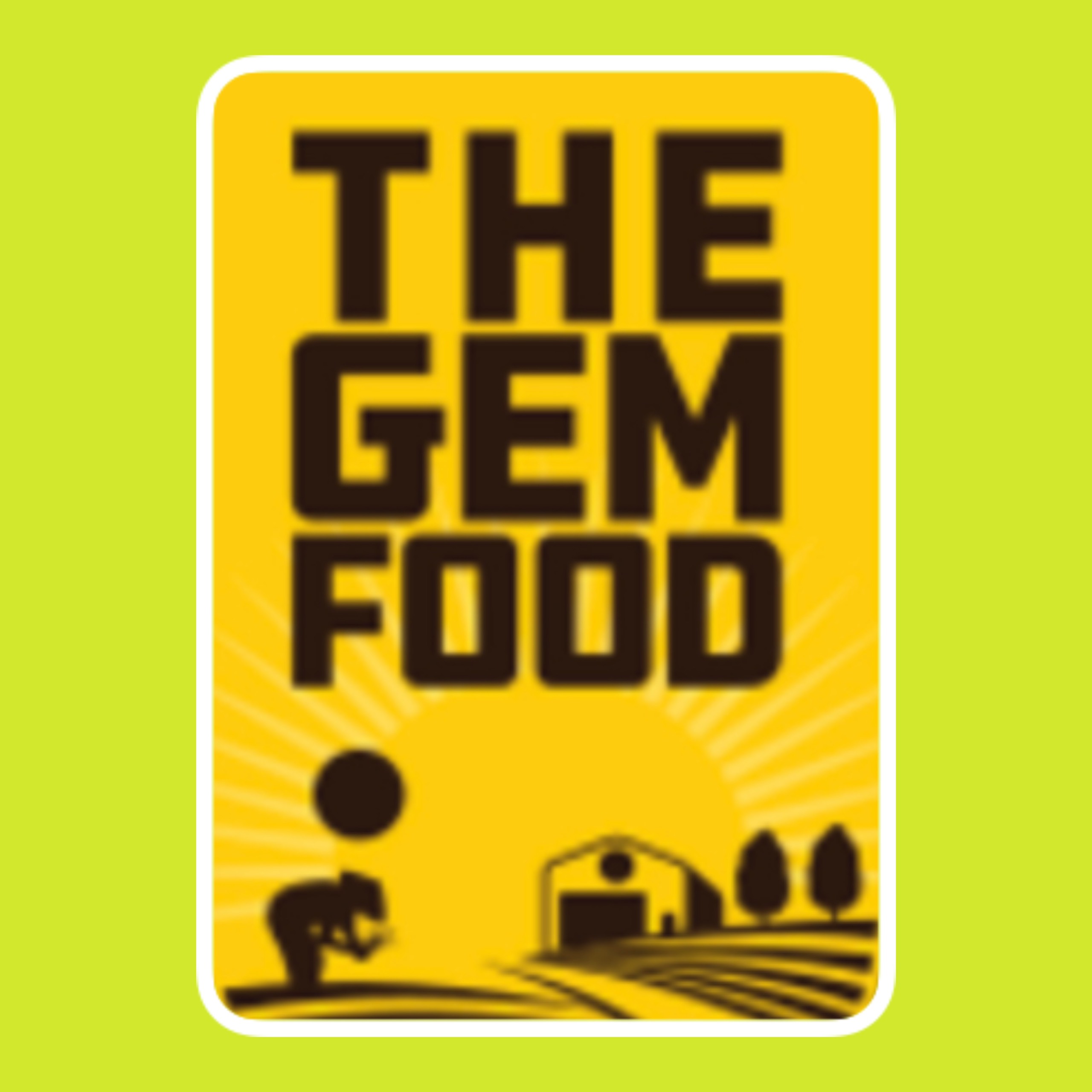 The Gem Food