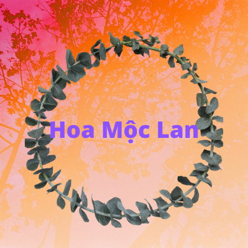 Shop hoa Mộc Lan