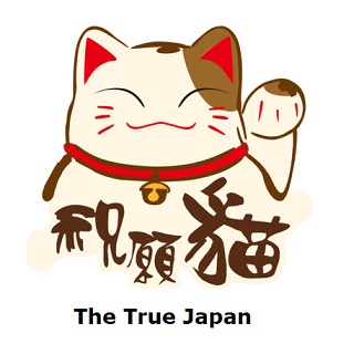 The True Japan