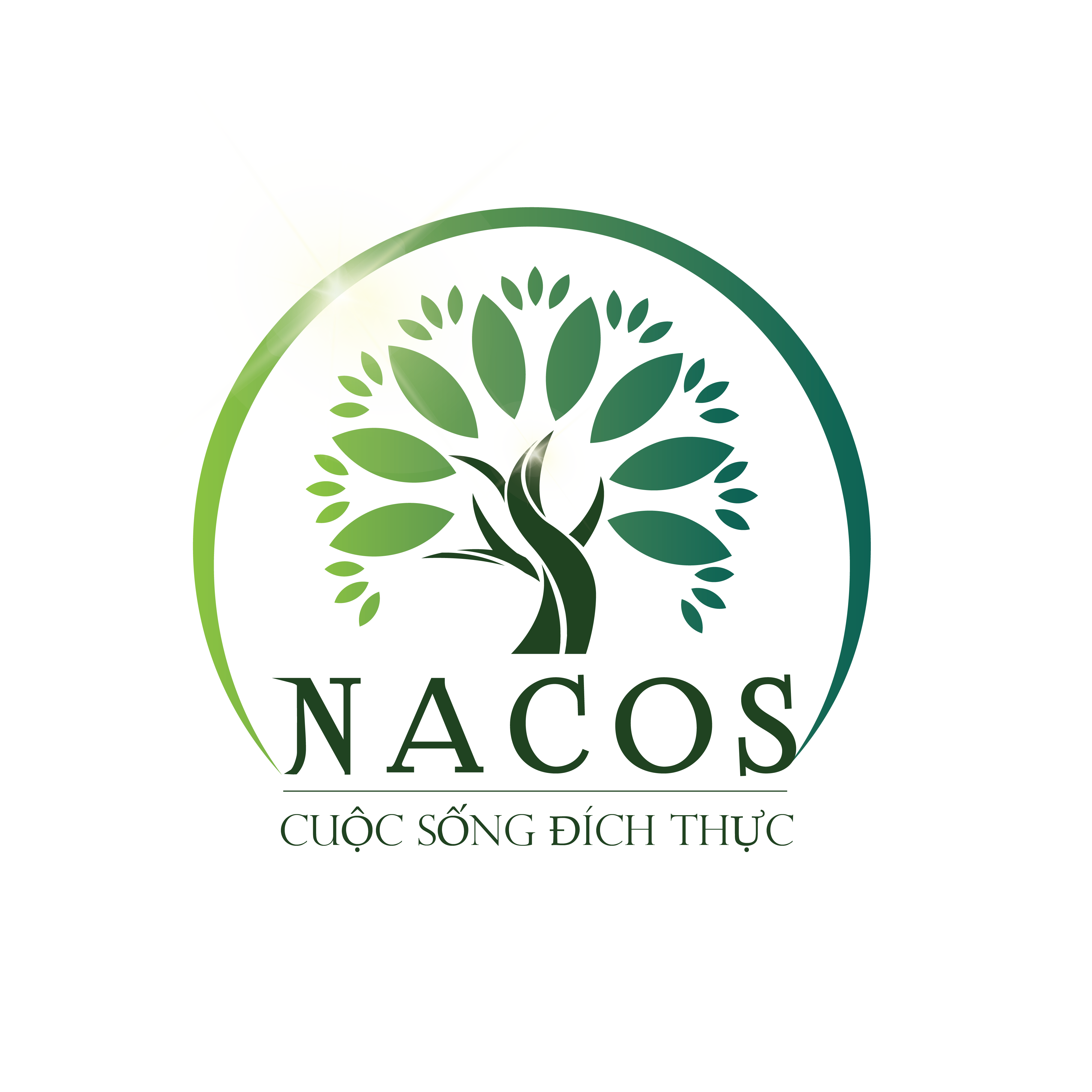 NacosVn